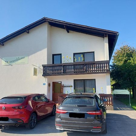 Die Sonnenblume Sankt Kanzian am Klopeiner See Zewnętrze zdjęcie