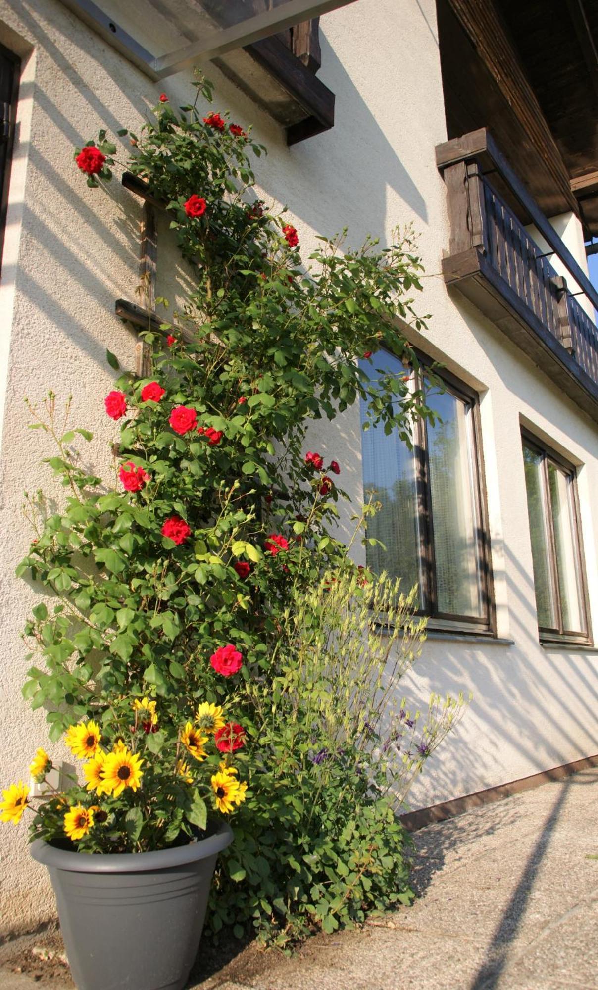 Die Sonnenblume Sankt Kanzian am Klopeiner See Zewnętrze zdjęcie